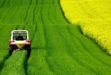 Evaluating Farmland as a Long-Term Investment