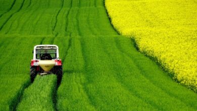 Evaluating Farmland as a Long-Term Investment