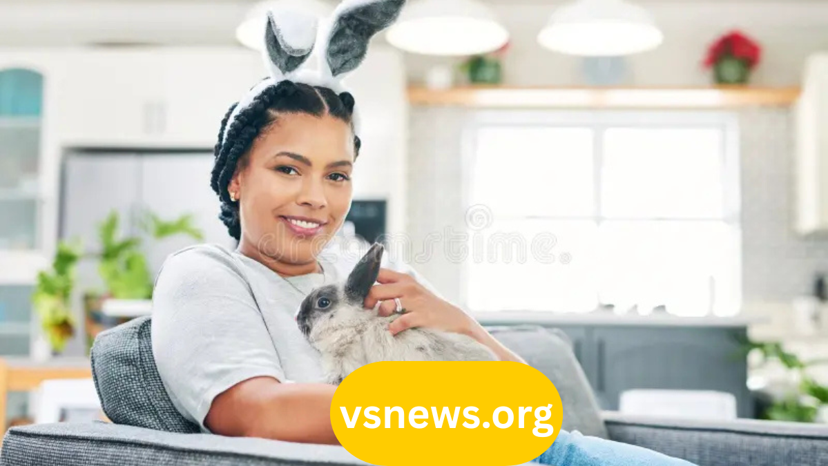 rabbit video chat